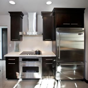 Contemporary Remodeled Kitchen - Range View