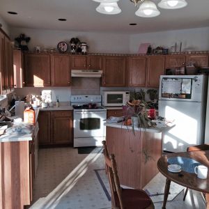BEFORE REMODEL - Appliance View