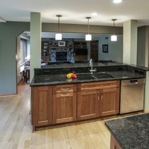 Full Kitchen Remodel - Sink View