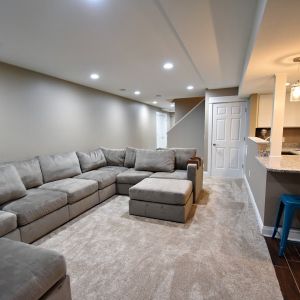 Lower Level Remodel - TV Area