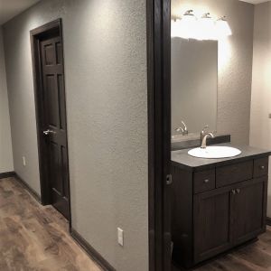 Lower Level Renovation - Bathroom