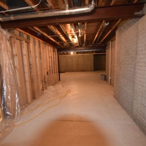 BEFORE RENOVATION - Basement View
