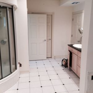 Remodeled Bathroom - Entry View