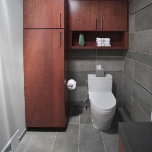 Remodeled Bathroom - Toilet Area