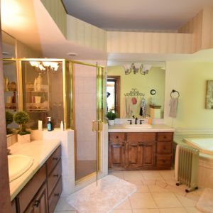 BEFORE REMODEL - Bathroom View from Shower