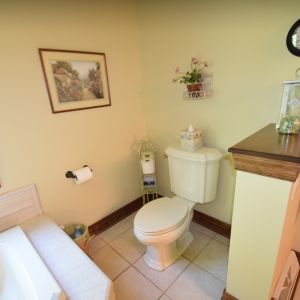 BEFORE REMODEL - Bathroom View of Toilet Area